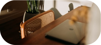 there is a laptop and a plant on a table