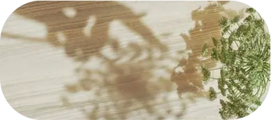 there is a shadow of a person riding a bike on a wall